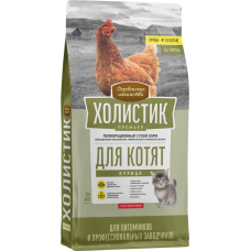 Холистик